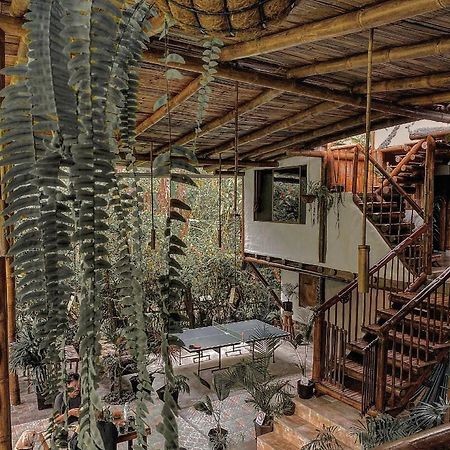 Cinnamon House Міндо Екстер'єр фото